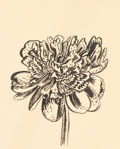 Johanna St. Clair - Peony #6