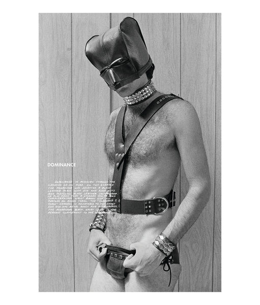 Hal Fischer - THE GAY SEVENTIES